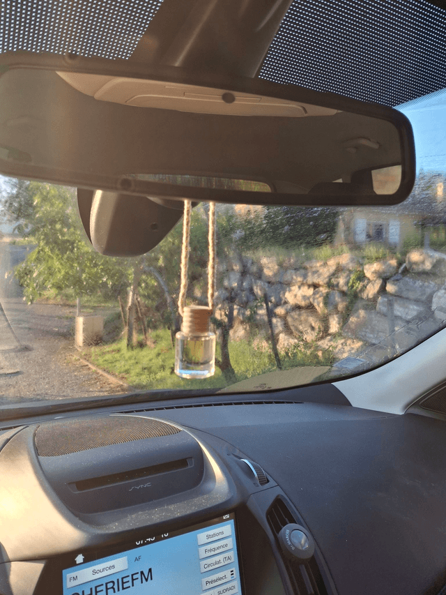 Diffuseur de parfum pour Voiture Fleur de Sakura